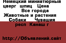 Немецкий миниатюрный(цверг) шпиц › Цена ­ 50 000 - Все города Животные и растения » Собаки   . Чувашия респ.,Канаш г.